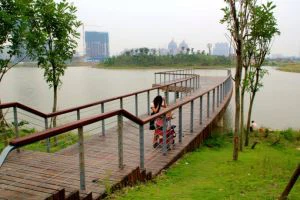 Natūralus ekologinis parkas Zhangzhou